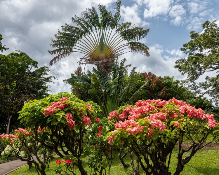 Guadeloupe-2022-1612