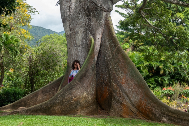 Guadeloupe-2022-1619