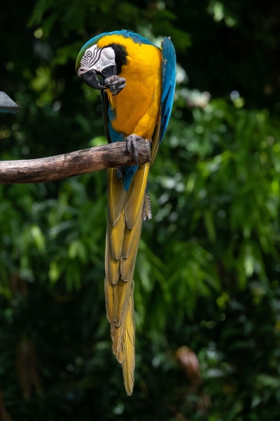 Guadeloupe-2022-1727