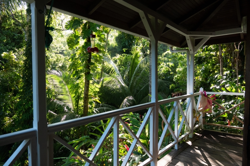 Guadeloupe-2022-2372