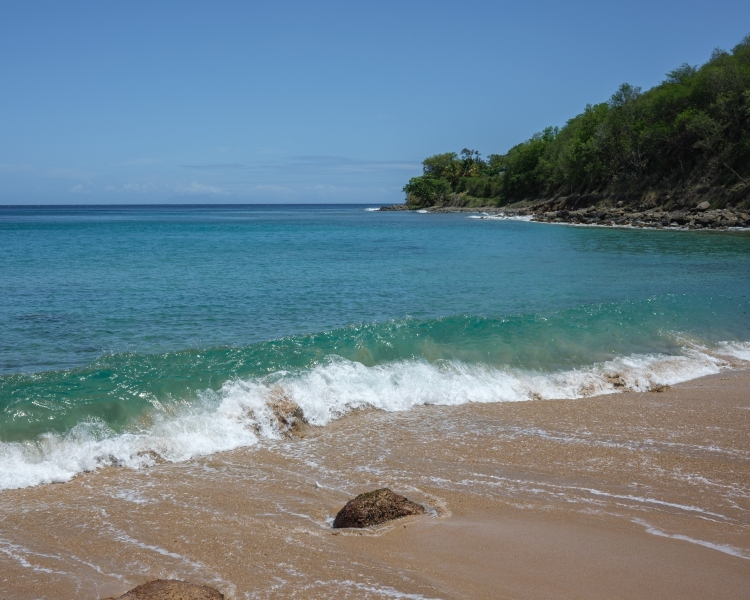 Guadeloupe-2022-2436