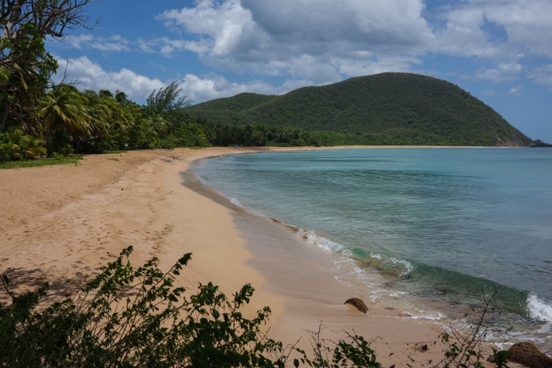 Guadeloupe-2022-2448