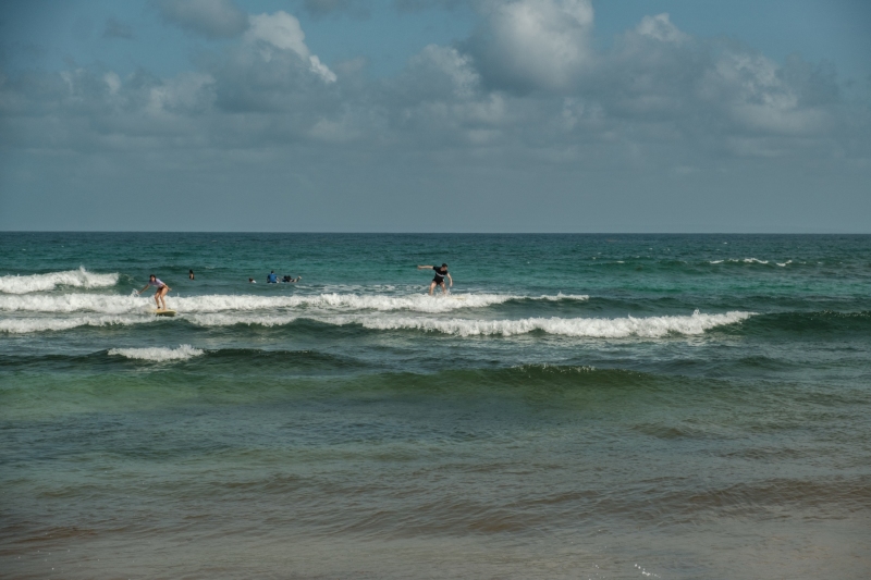 DSCF0191