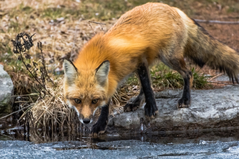 1404_Jardin_Bot_013